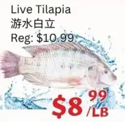 Ranch Fresh Supermarket Live Tilapia offer