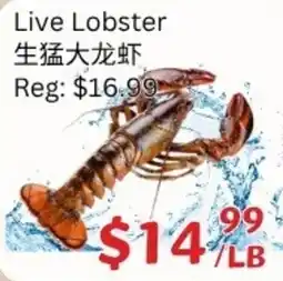 Ranch Fresh Supermarket Live Lobster offer