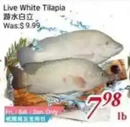 Tone Tai Supermarket Live White Tilapia offer
