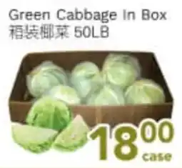 Ample Food Market Green Cabbage In Box offer
