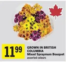IGA Mixed Spraymum Bouquet offer