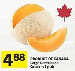 IGA Large Cantaloupe offer