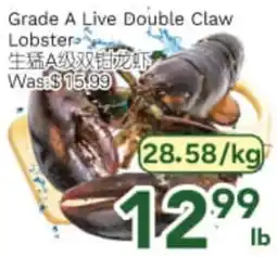 Ample Food Market Grade A Live Double Claw Lobster offer