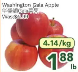 Ample Food Market Washington Gala Apple offer