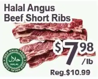 Halal Angus Beef Short Ribs