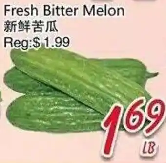 Fresh Bitter Melon