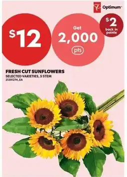 Dominion Optimum fresh cut sunflowers offer