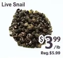 Blue Sky Supermarket Live Snail offer