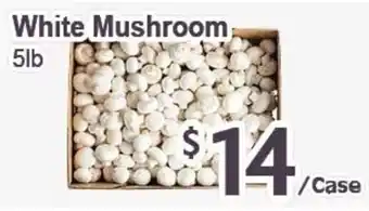 White Mushroom