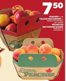 Independent City Market PEACHES, 3 L OR YELLOW NECTARINES, 2 L offer