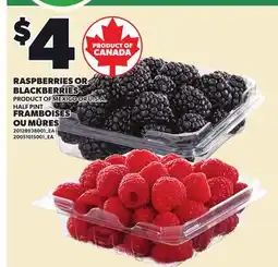 Independent City Market RASPBERRIES OR BLACKBERRIES offer