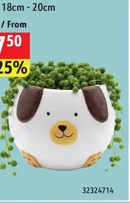 Sushi Shop Ceramic Planter offer