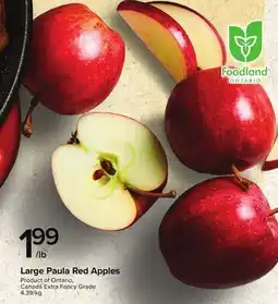 Metro LARGE PAULA RED APPLES offer