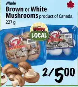 Farm Boy Brown or White Mushrooms offer
