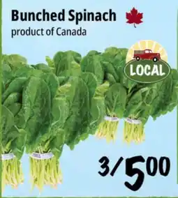 Farm Boy Bunched Spinach offer