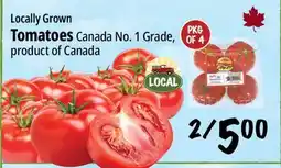 Farm Boy Tomatoes offer