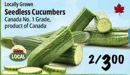 Farm Boy Seedless Cucumbers offer
