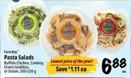 Farm Boy Farm Boy Pasta Salads offer