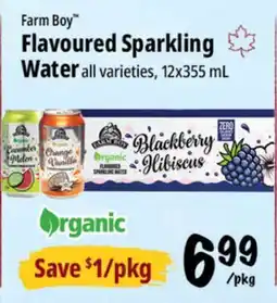Farm Boy Farm Boy Flavoured Sparkling Water offer