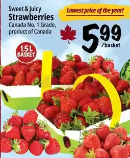 Farm Boy Strawberries offer