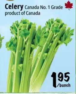Farm Boy Celery offer