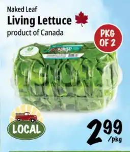 Farm Boy Naked Leaf Living Lettuce offer