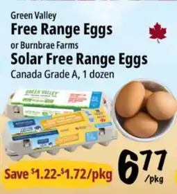 Farm Boy Green Valley Free Range Eggs or Burnbrae Farms Solar Free Range Eggs offer