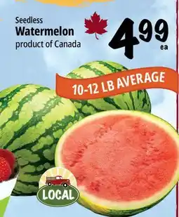Farm Boy Watermelon offer