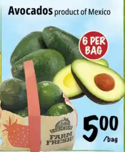 Farm Boy Avocados offer