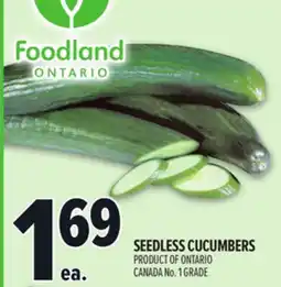 Metro SEEDLESS CUCUMBERS offer