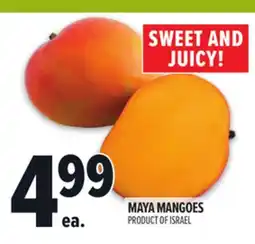 Metro MAYA MANGOES offer
