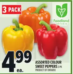 Metro ASSORTED COLOUR SWEET PEPPERS offer