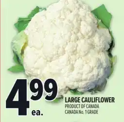 Metro LARGE CAULIFLOWER offer