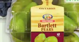Metro BLUE GRAPES OR BARTLETT PEARS offer
