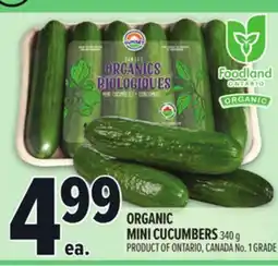 Metro ORGANIC MINI CUCUMBERS offer