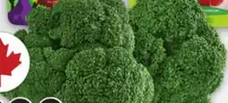 Metro SNACKING TOMATOES 283 G, BROCCOLI CROWNS offer