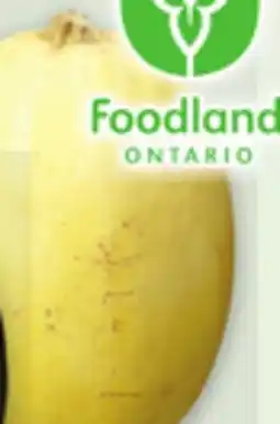 Metro ASSORTED LOCAL SQUASH offer