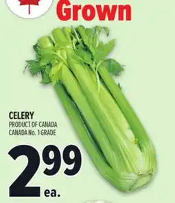 Metro CELERY offer