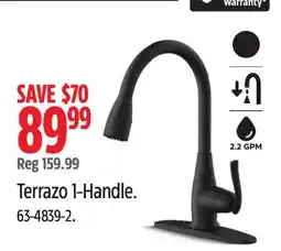 Canadian Tire Danze Terrazo 1-Handle offer