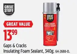 Canadian Tire Gaps & Cracks Insulating Foam Sealant offer