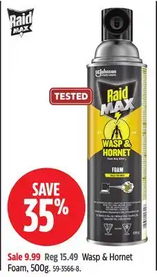 Canadian Tire Raid Wasp & Hornet Foam offer