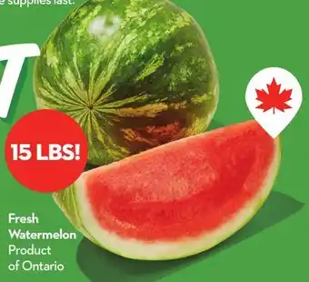 Longo's Fresh Watermelon offer