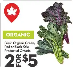 Longo's Fresh Organic Green, Red or Black Kale offer