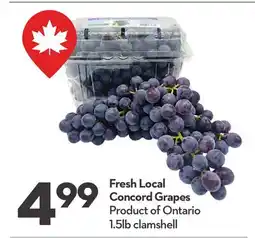 Longo's Fresh Local Concord Grapes offer