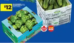Real Canadian Superstore DILL CUCUMBERS, 1/2 BUSHEL OR GREEN PEPPERS, 1/2 CASE offer