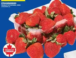 Real Canadian Superstore STRAWBERRIES offer