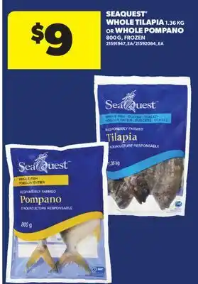 Real Canadian Superstore SEAQUEST WHOLE TILAPIA, 1.36 KG OR WHOLE POMPANO, 800 G offer
