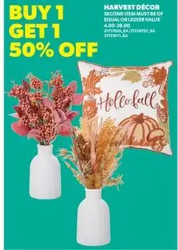 Real Canadian Superstore HARVEST DECOR offer