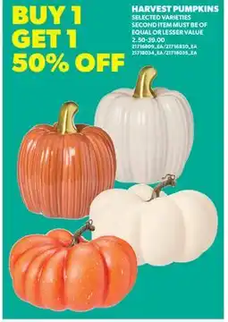 Real Canadian Superstore HARVEST PUMPKINS offer
