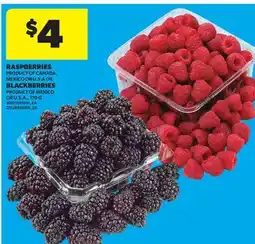 Real Canadian Superstore RASPBERRIES OR BLACKBERRIES offer
